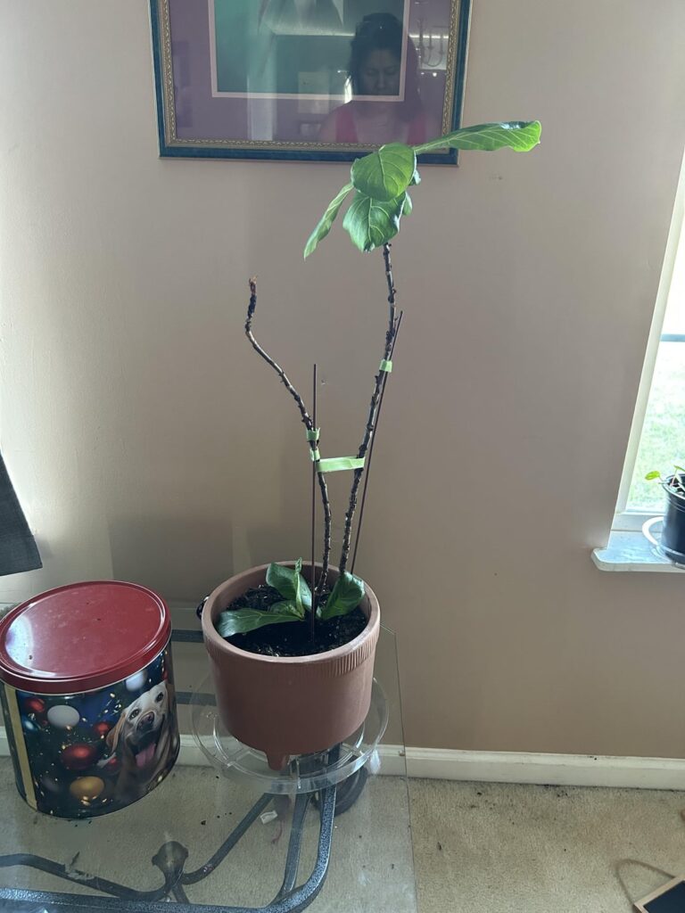 Suggestions? Suggestions?