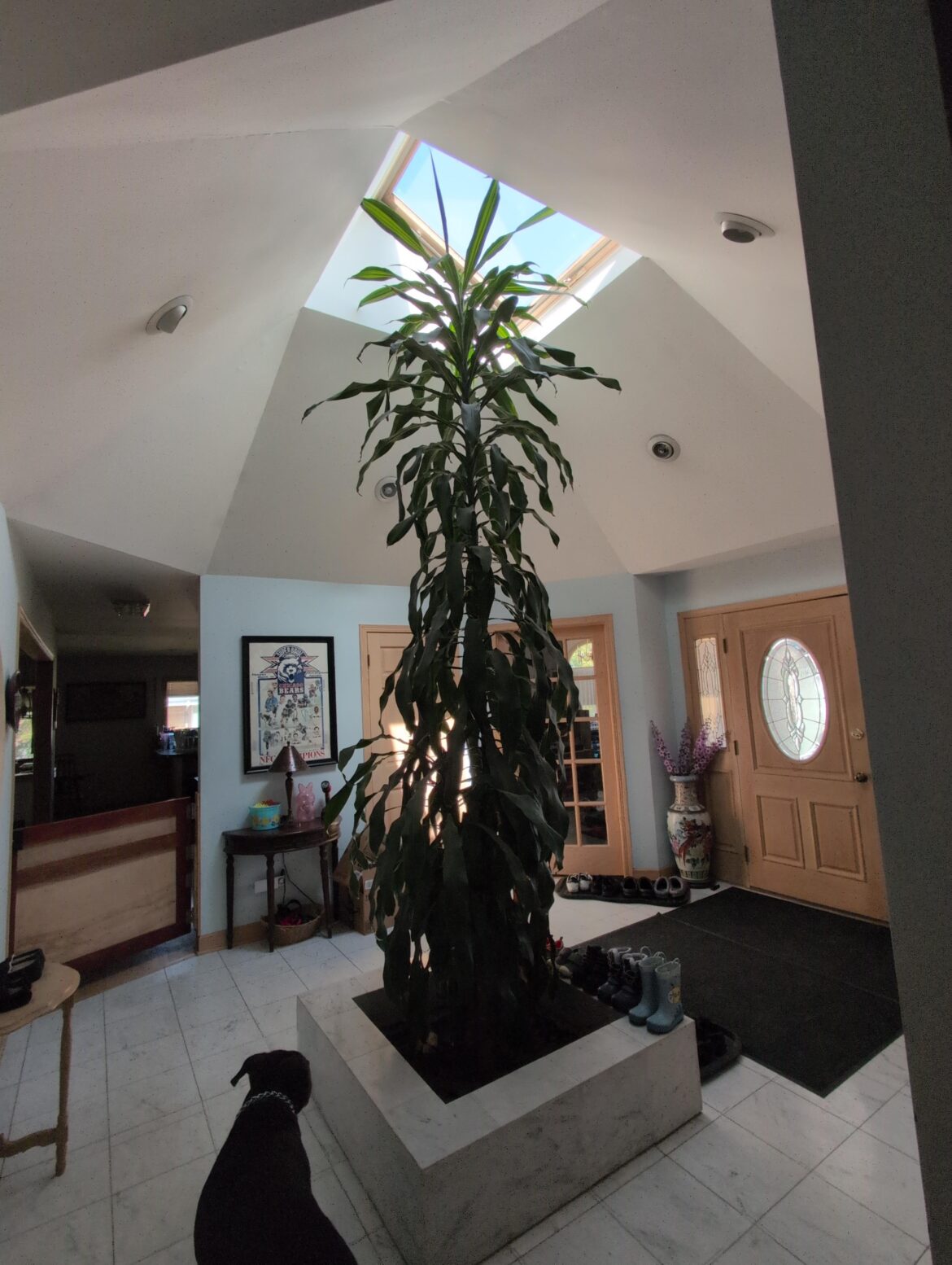 It's growing very, very fast...