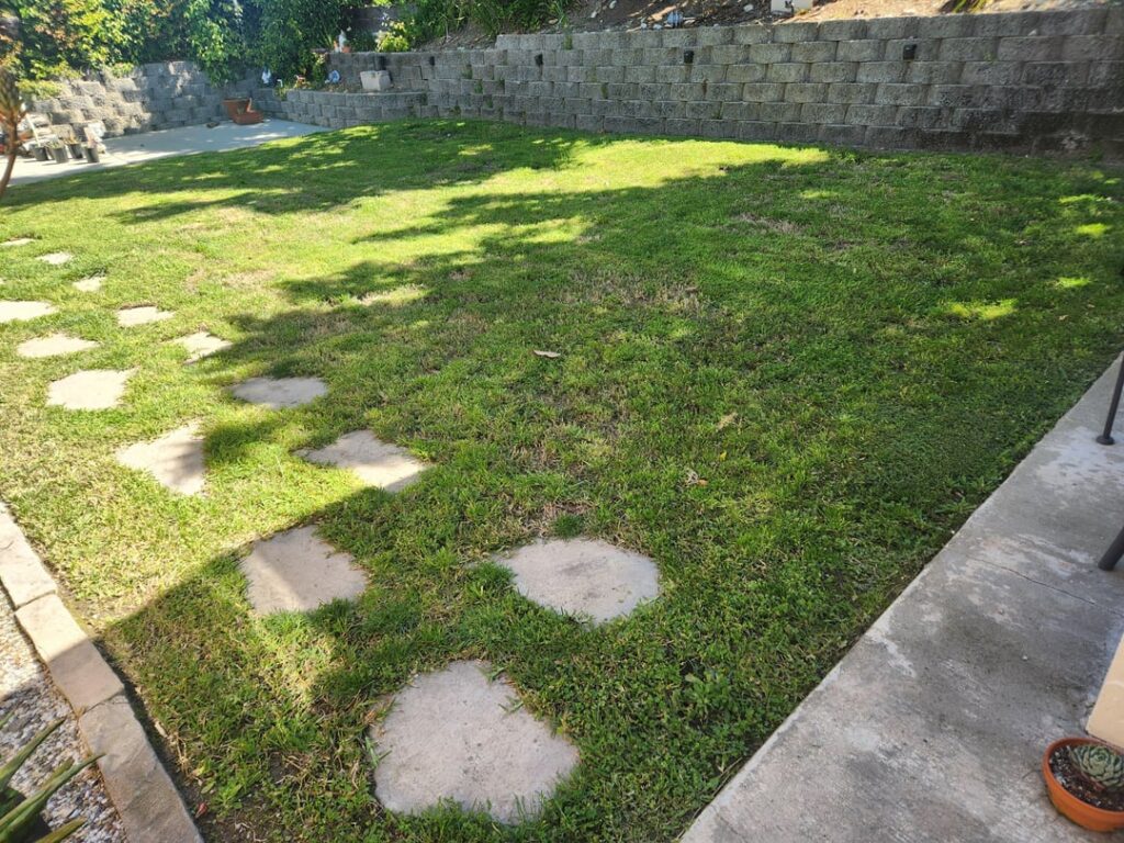 I'm transitioning from weed potpourri in 9b/10 to cool season