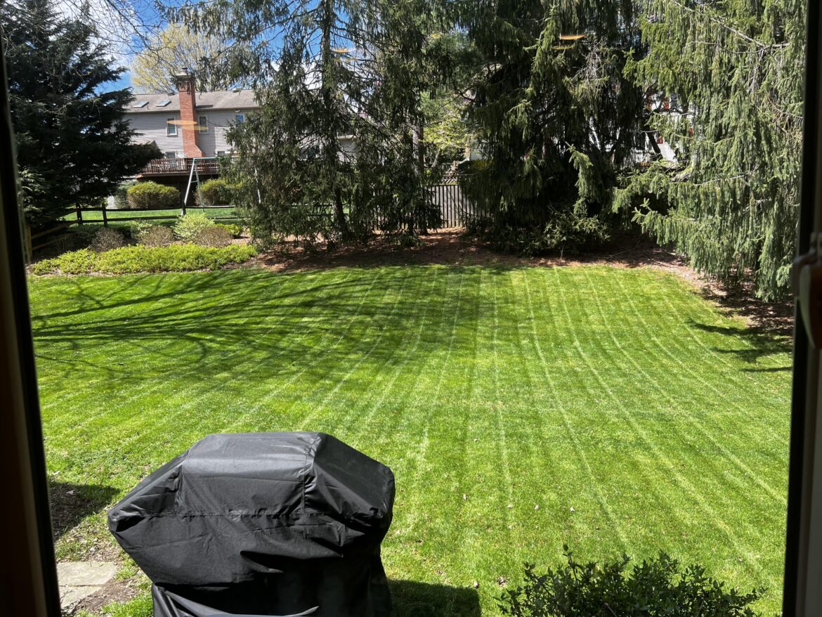 Second spring in new house