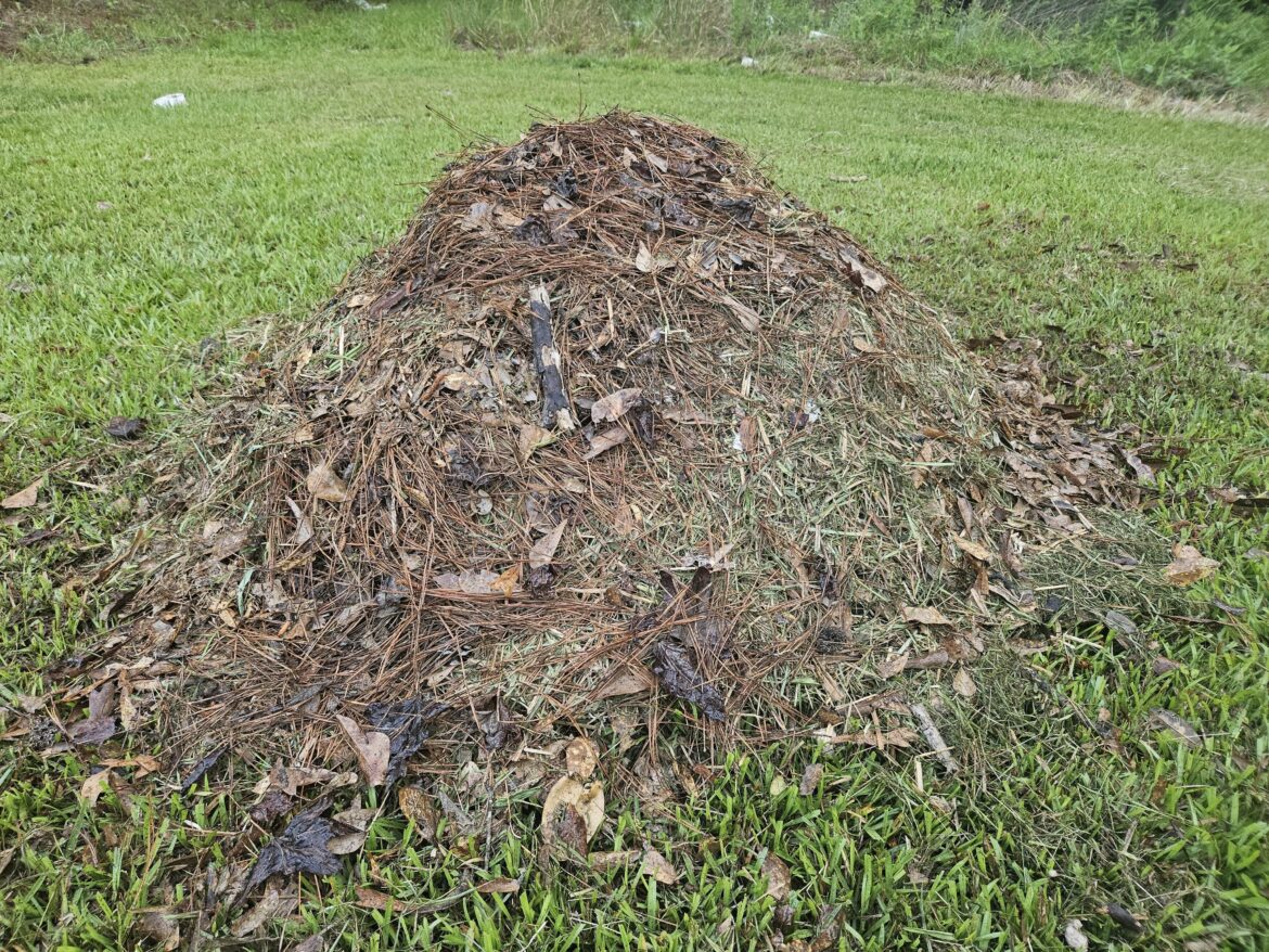 Its not much but its mine
