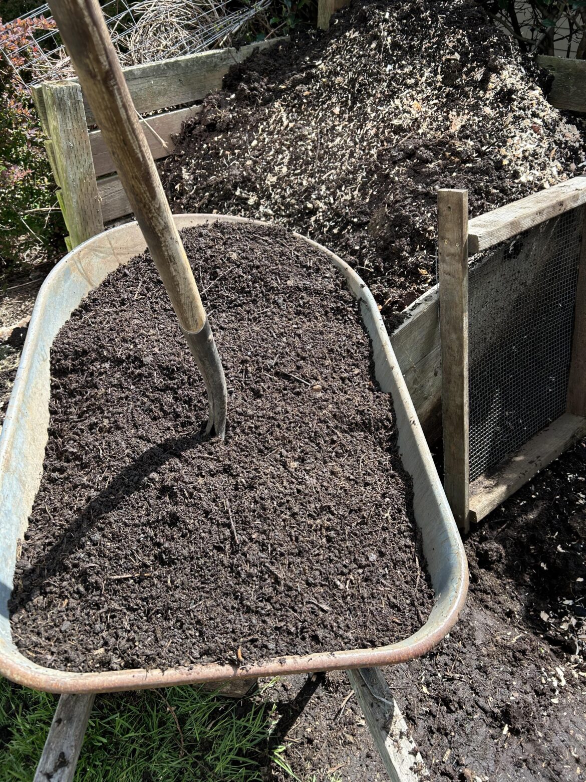 My black gold photo.  Six loads from a two bin system.   I need to put a bottom on the bins; I keep digging deeper each year.