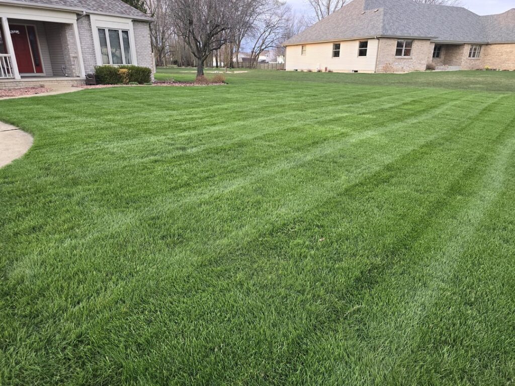 Coming in real lush this spring!