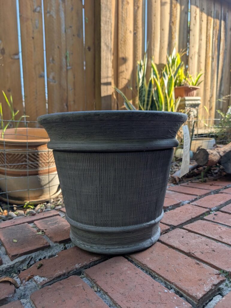 Cucumber Question (Chicago Pickling)