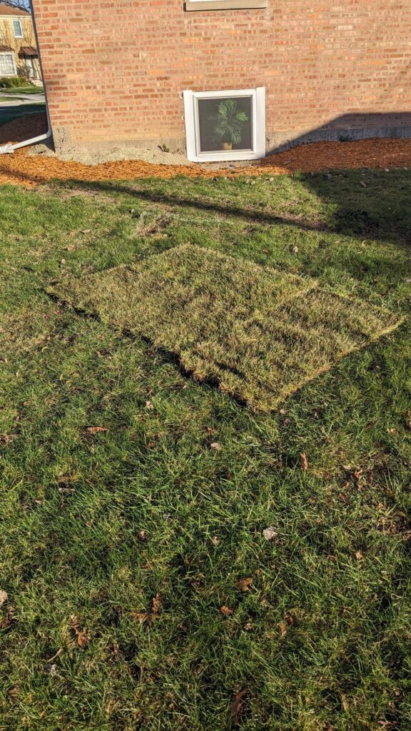 Sod patch on prepped soil is about 1 inch above ground level. My landscaper told me the sod patch will settle in... Is he exaggerating?