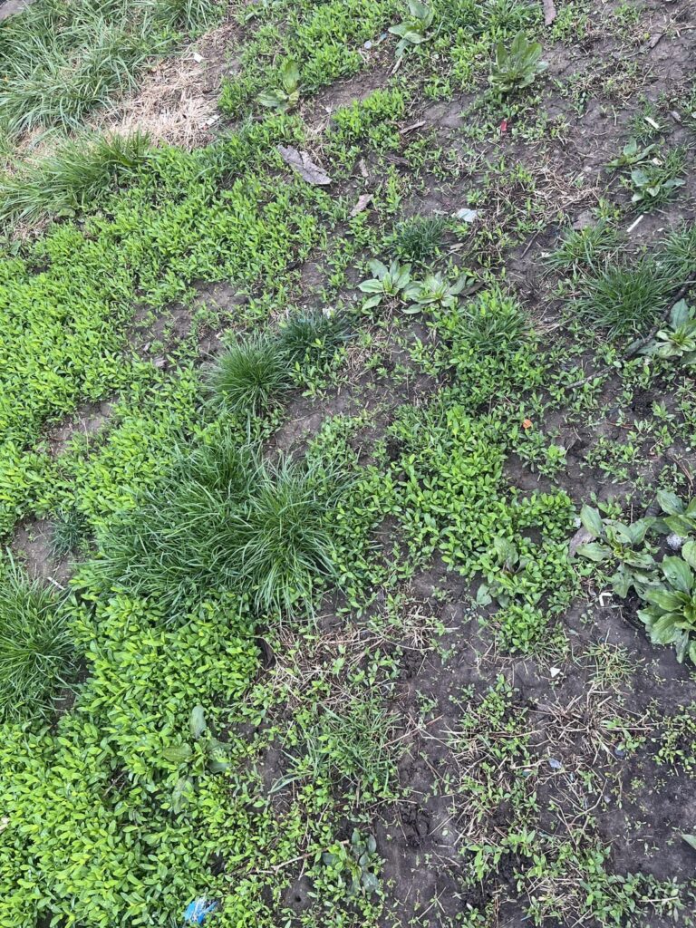 Help! Where do I start? Help! Where do I start?