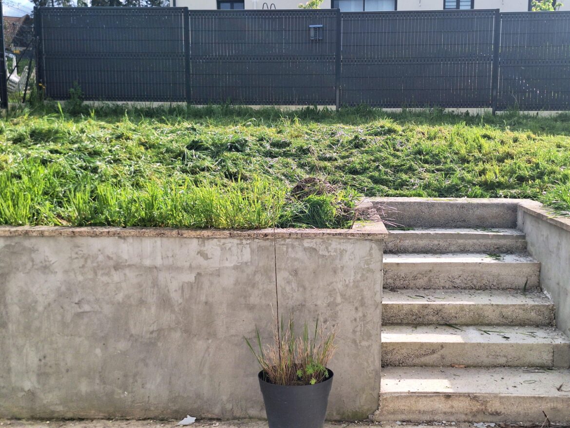 HELP ! I will not have time to kill weeds before tilling tomorrow, what would you suggest to have a clean grass in the future ? Thank you !