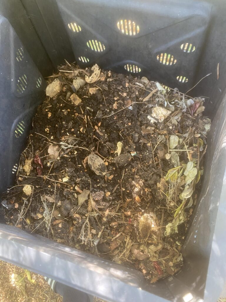 Help please
