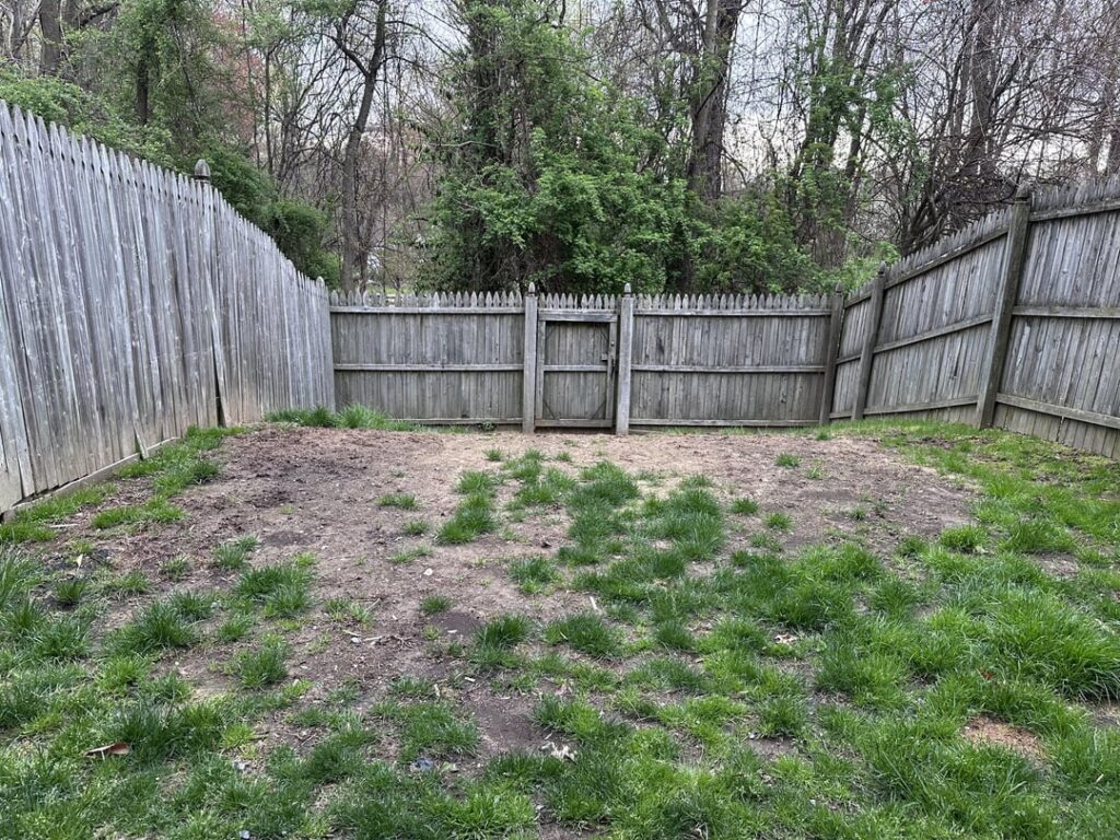 What Should I Do? Dog! What Should I Do? Dog!