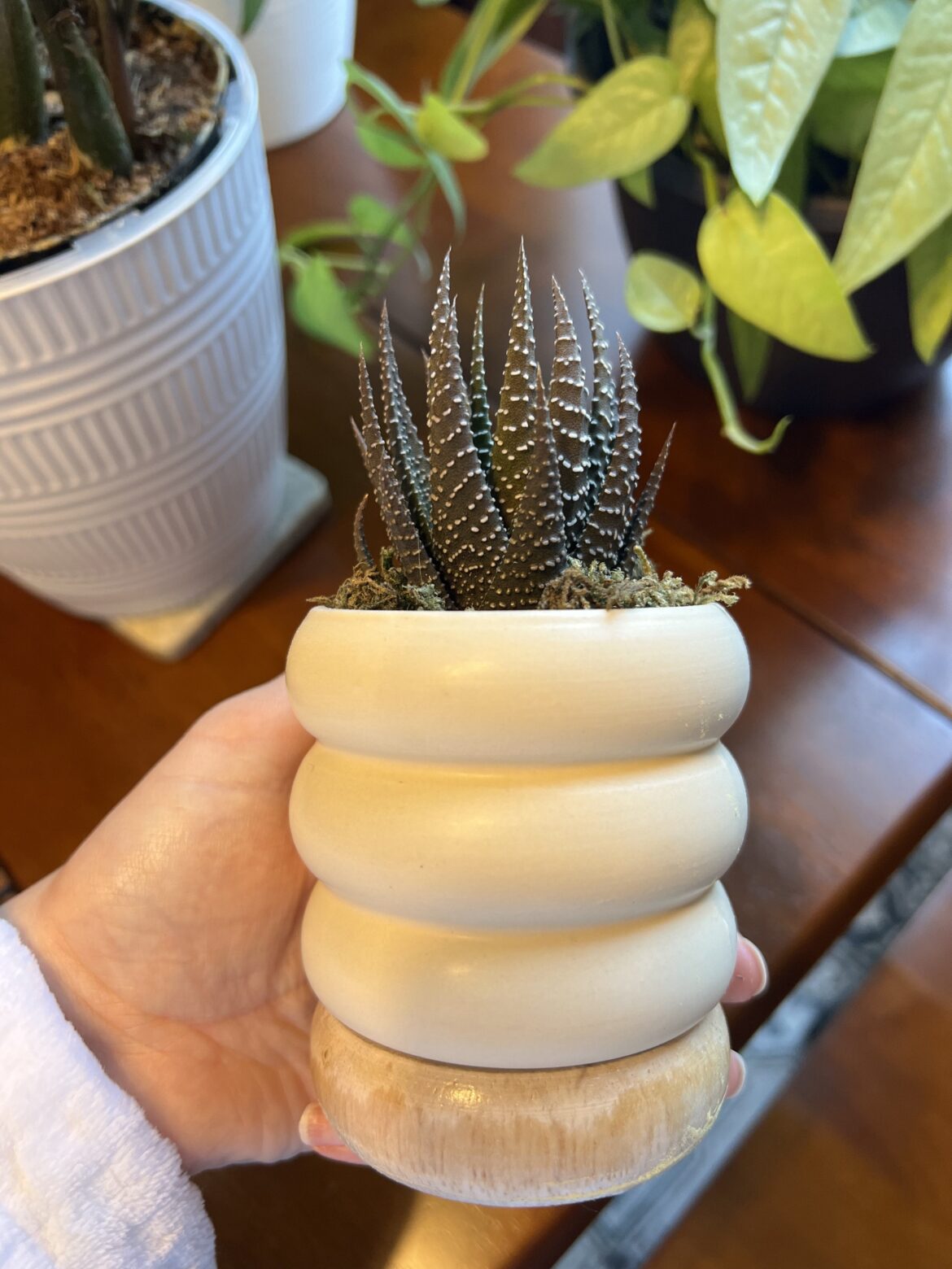 Turning brown Turning brown