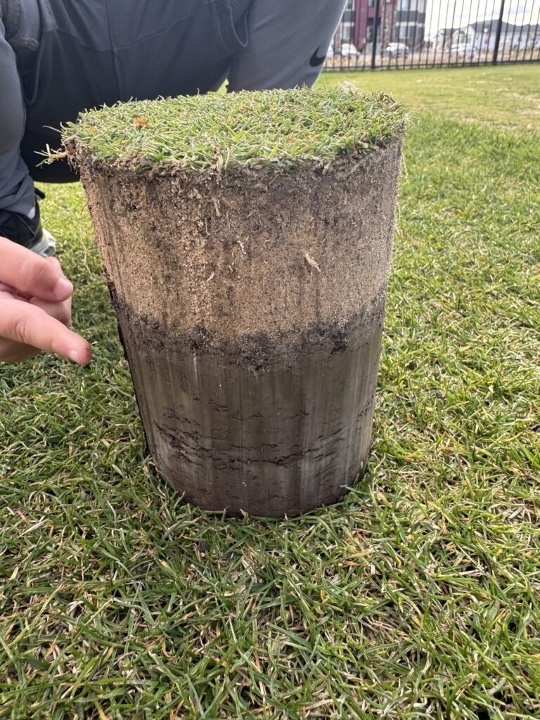 Cut a new piece of cake for the year