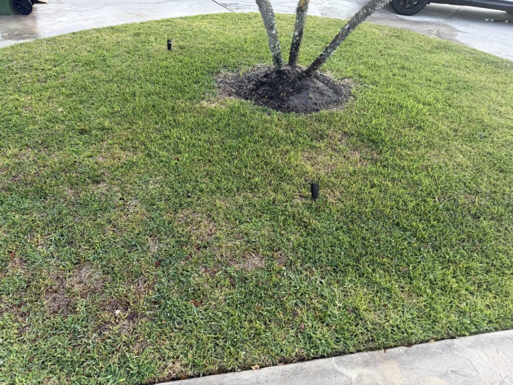 Not fully “green”