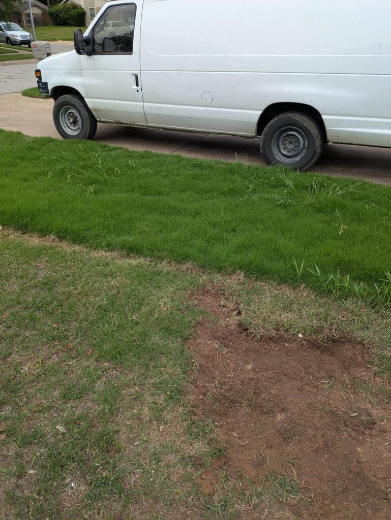 Why is my neighbors neglected lawn have such thick grass?