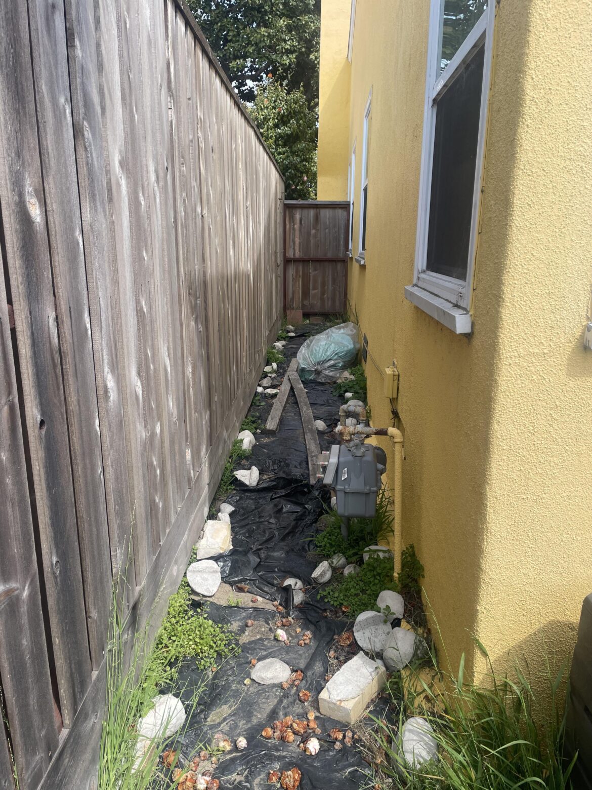 What should I do with this space? What should I do with this space?