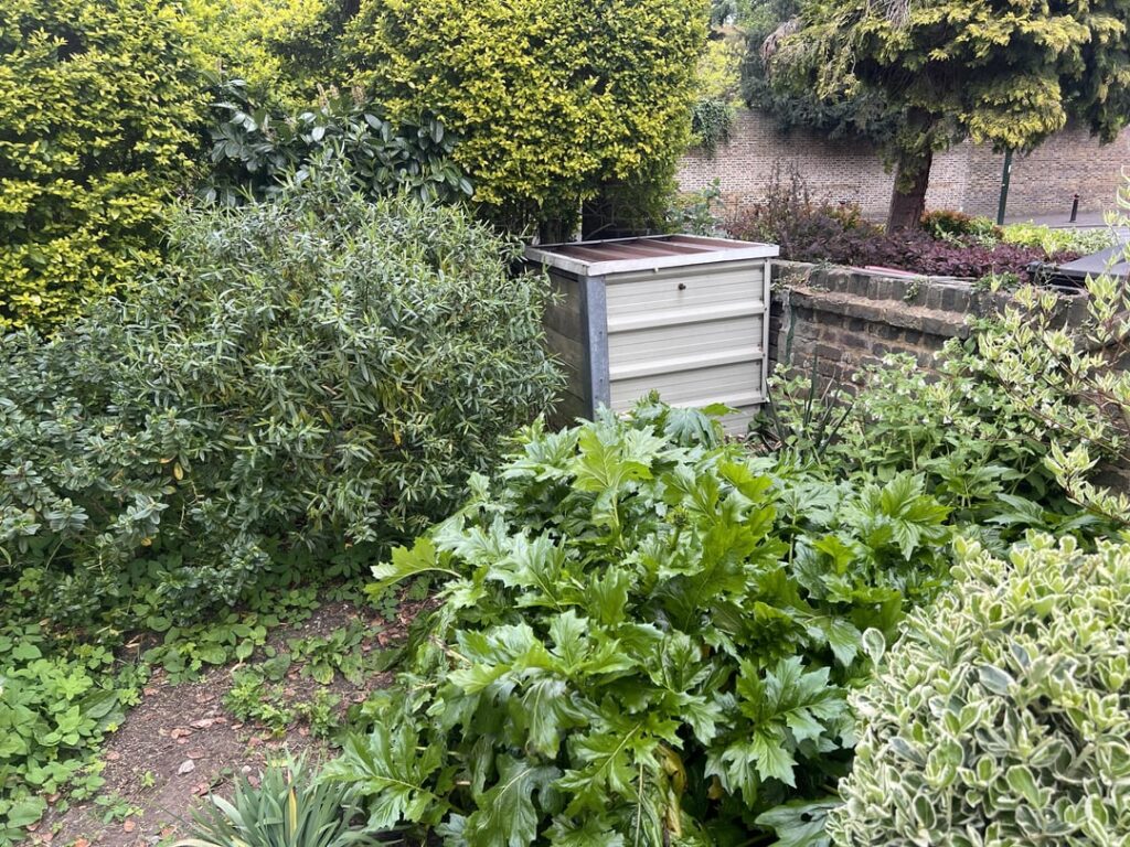 Found this bad boy at the back of our garden, what to do? Found this bad boy at the back of our garden, what to do?