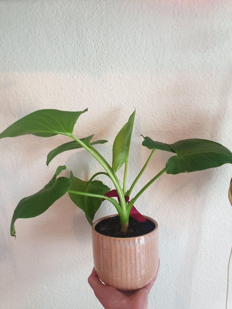 Please help me identify Please help me identify
