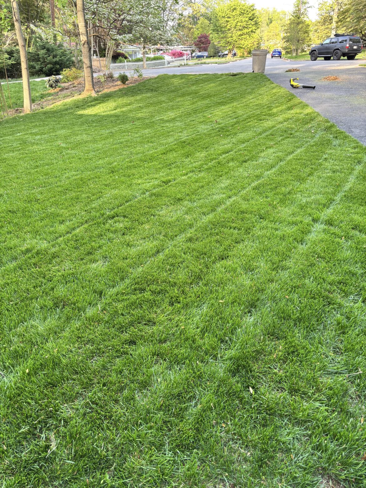 Finally fixed after last summer's drought