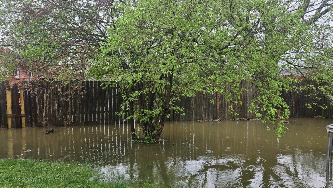 Need advice on yard that doesn't drain