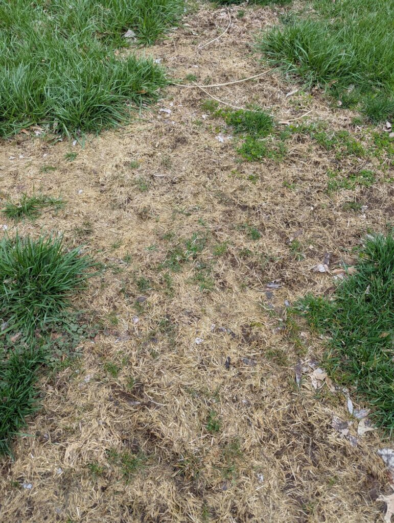 How can I compost lawn thatch?