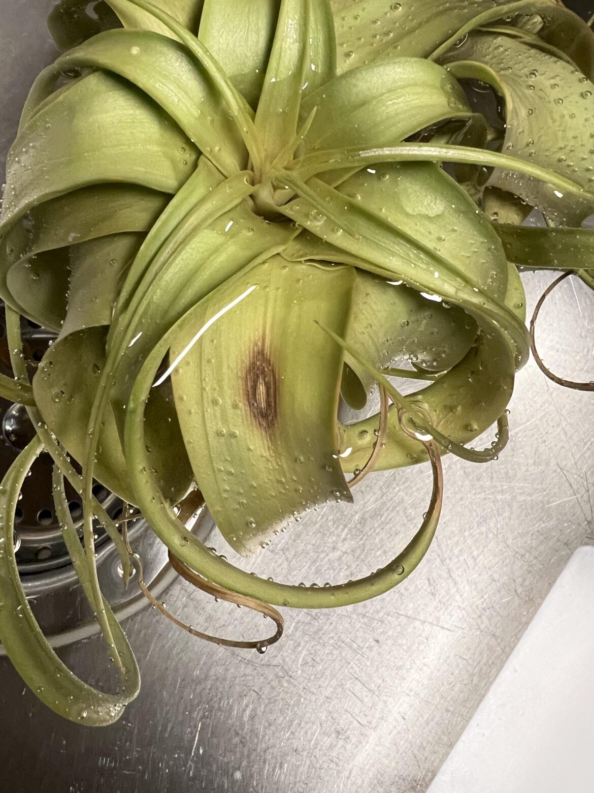 Should I be worried about this?