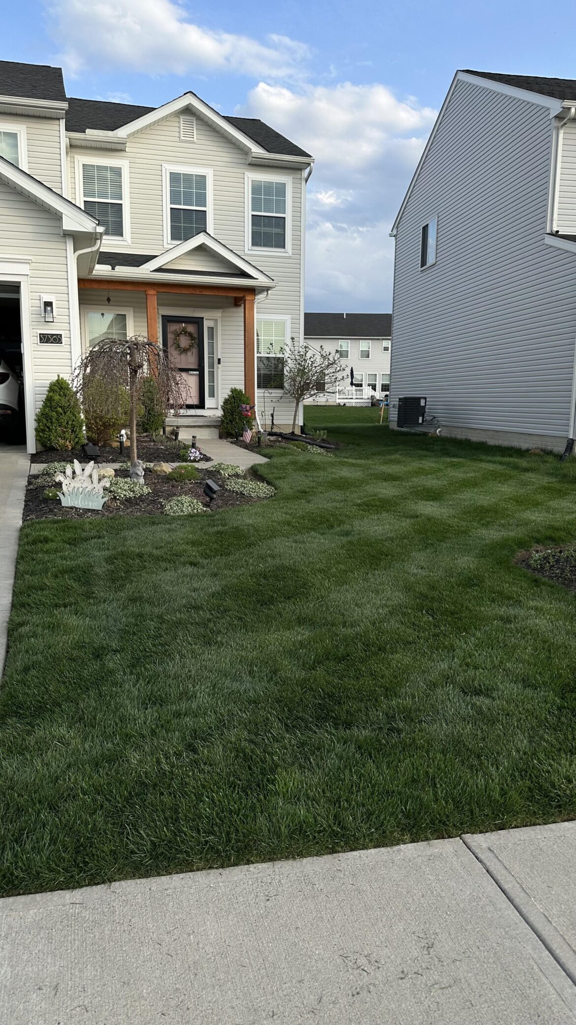 “Mom! Dad’s taking pictures of the lawn again!”