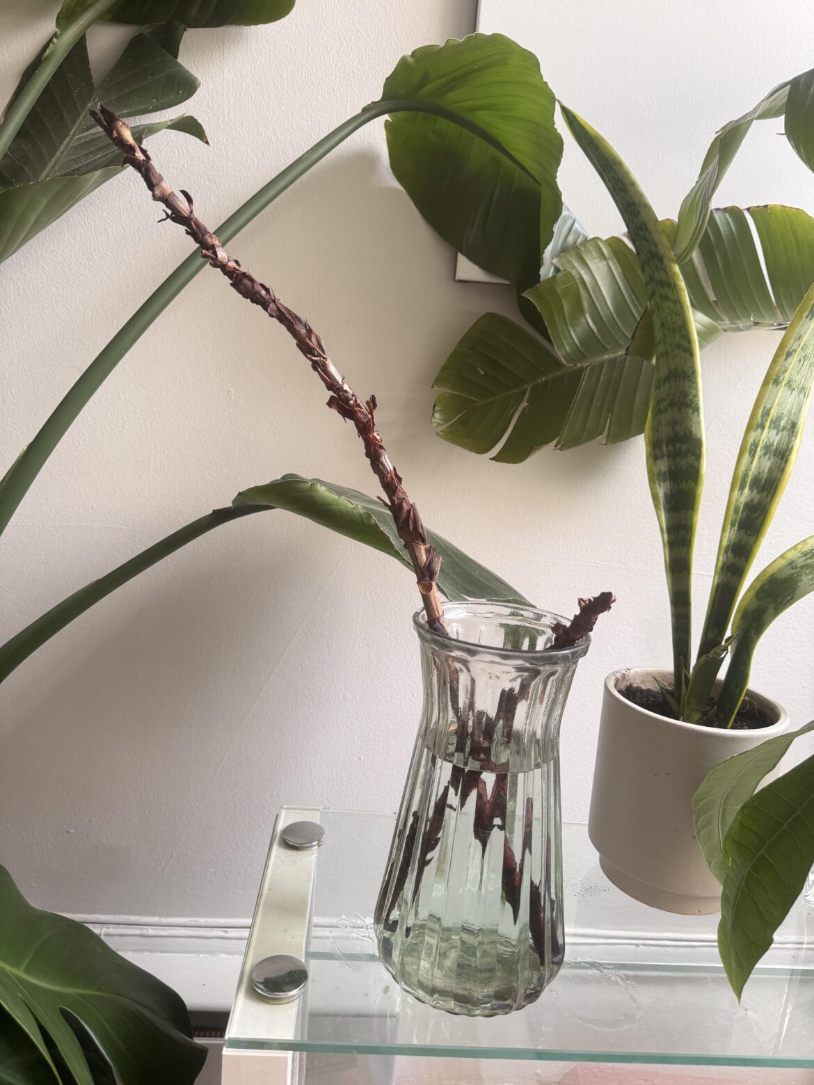 propagating tips needed!