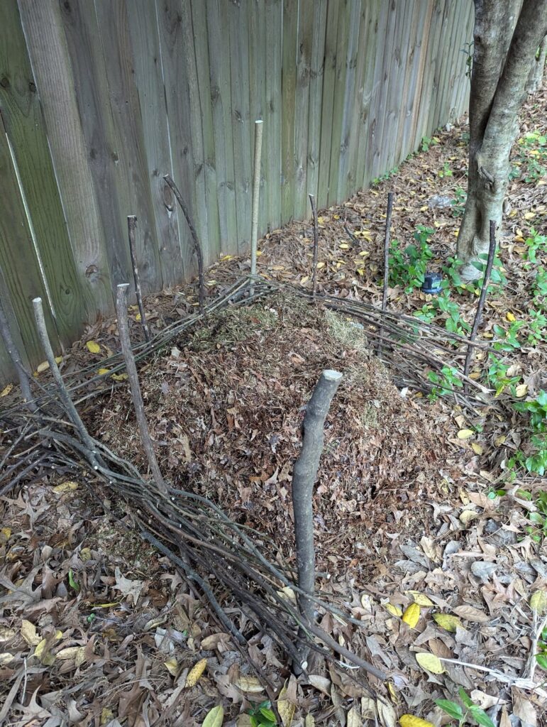 Made a woven compost bin