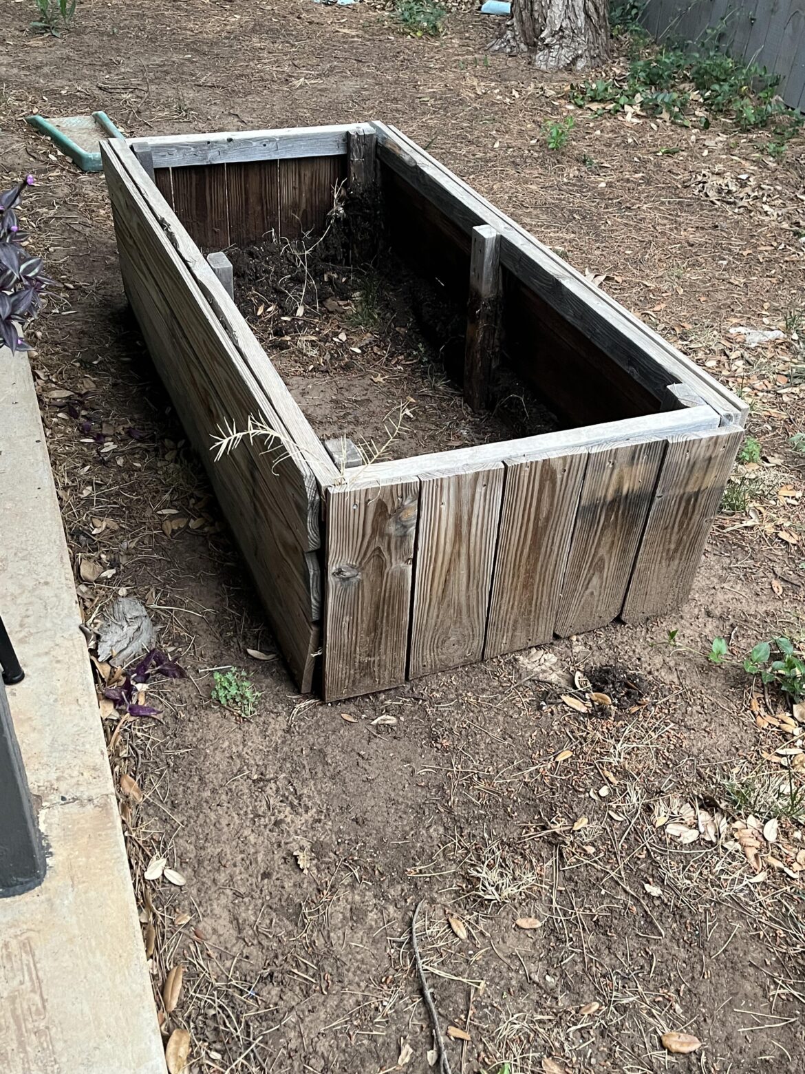 Compost Bin / Old raised bed