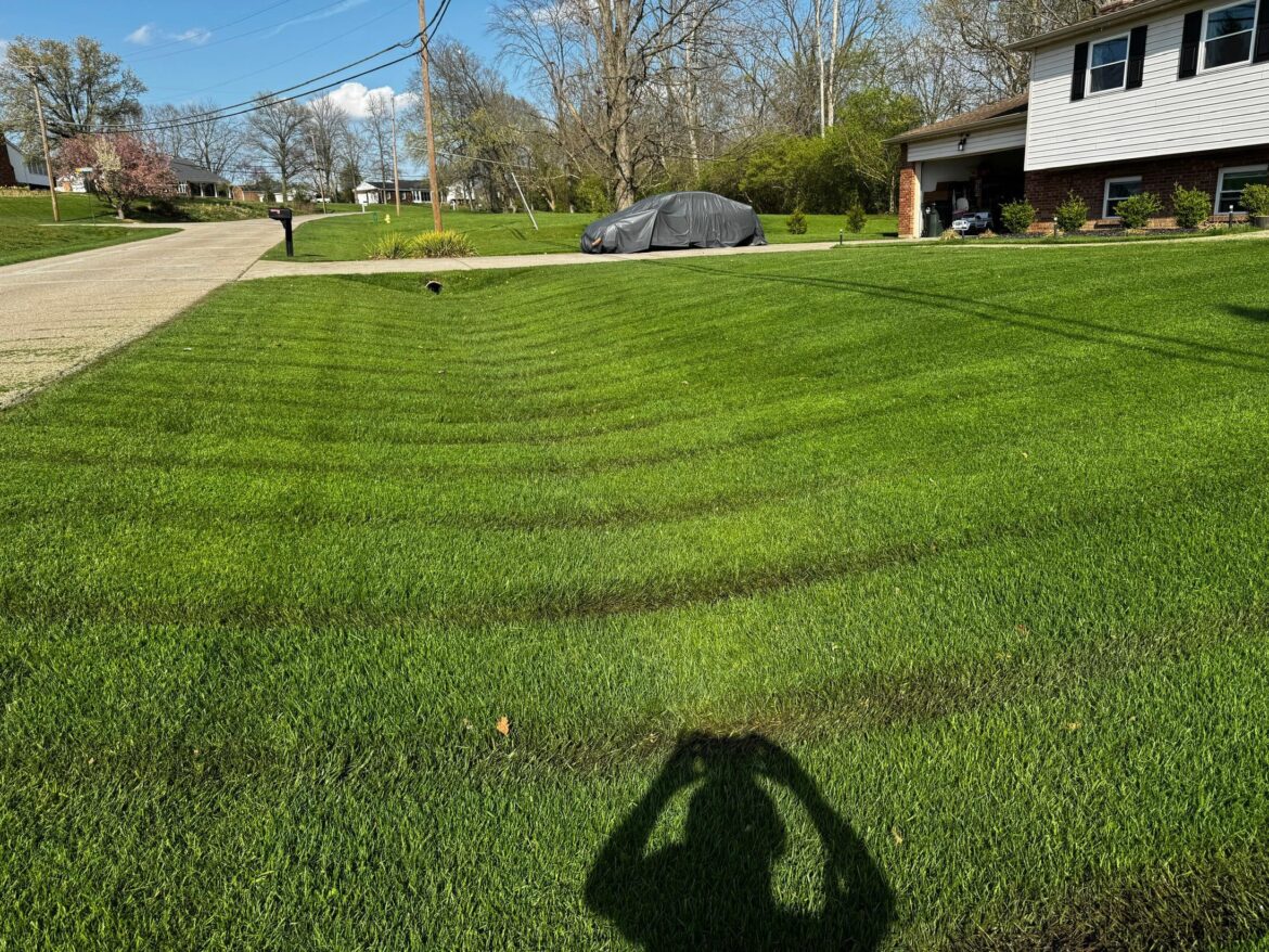 This still counts as stripes right guys?