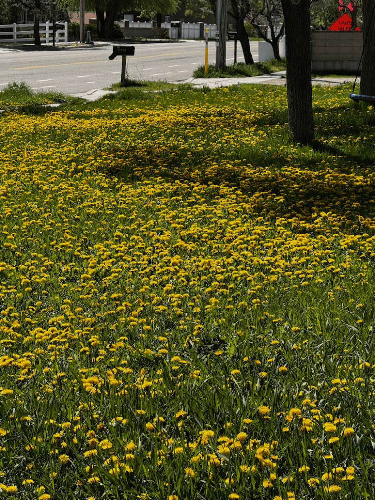 Where do I start here?