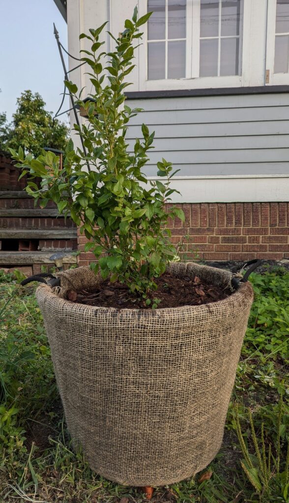 Would These Containers Be Considered Food Safe?