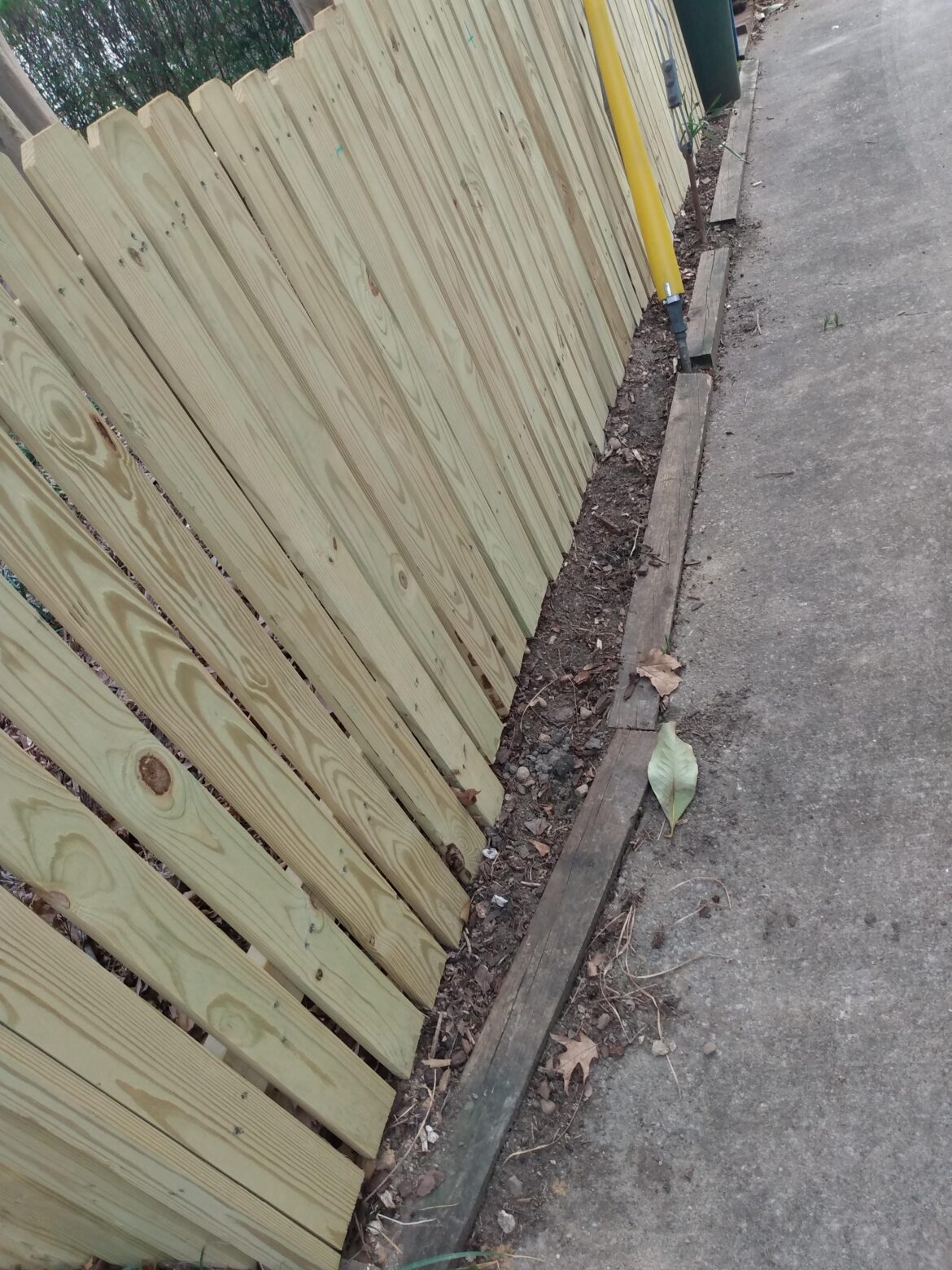 What to plant in a narrow space? (Md 7b)