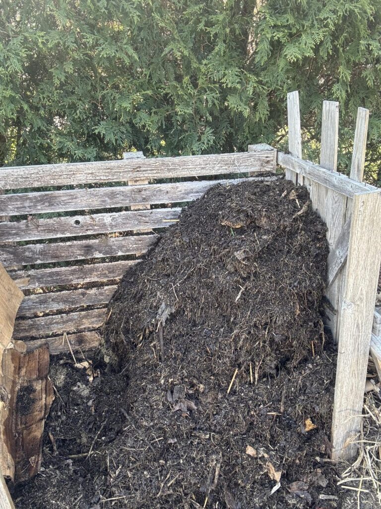 More brown or green?