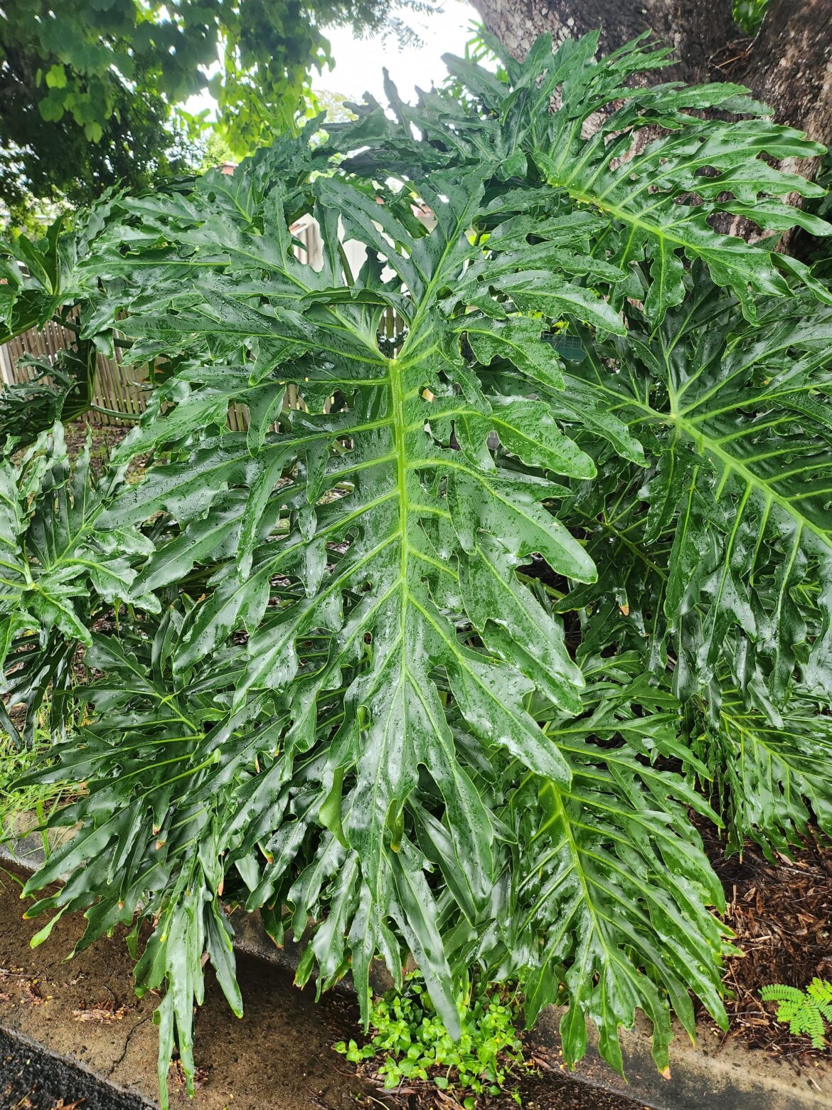 Help please