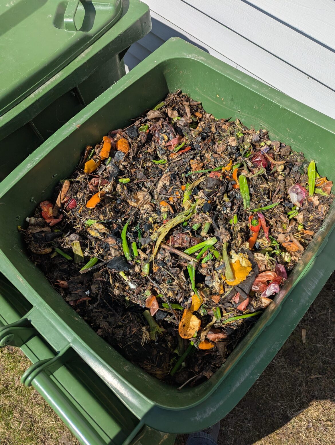 Garbage bin started! Any tips for a beginner?