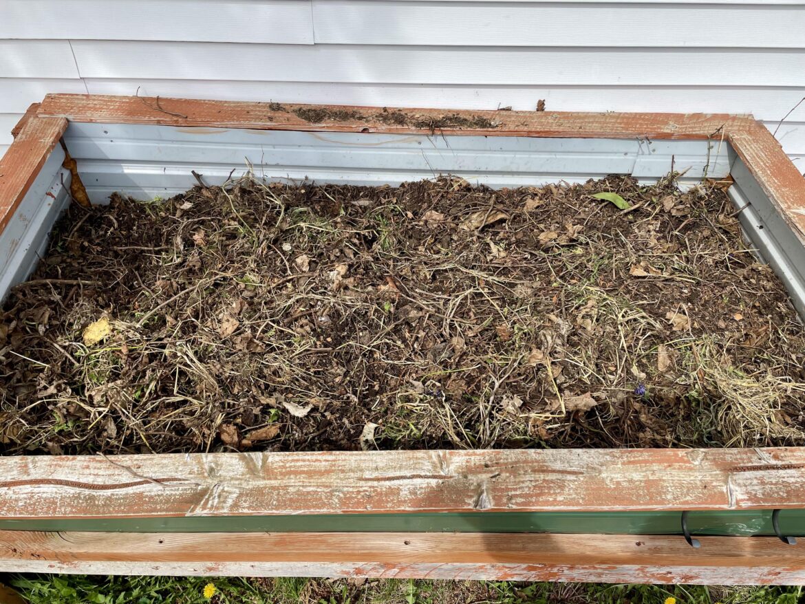 Can I put soil on top of compost that isn’t quite ready and plant something? Can I put soil on top of compost that isn’t quite ready and plant something?