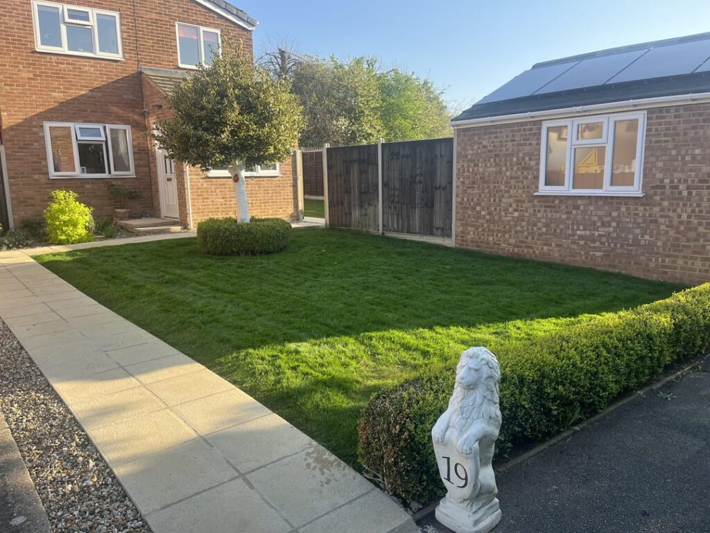 Great progress this year! The back garden has never looked as good as the front before! UK