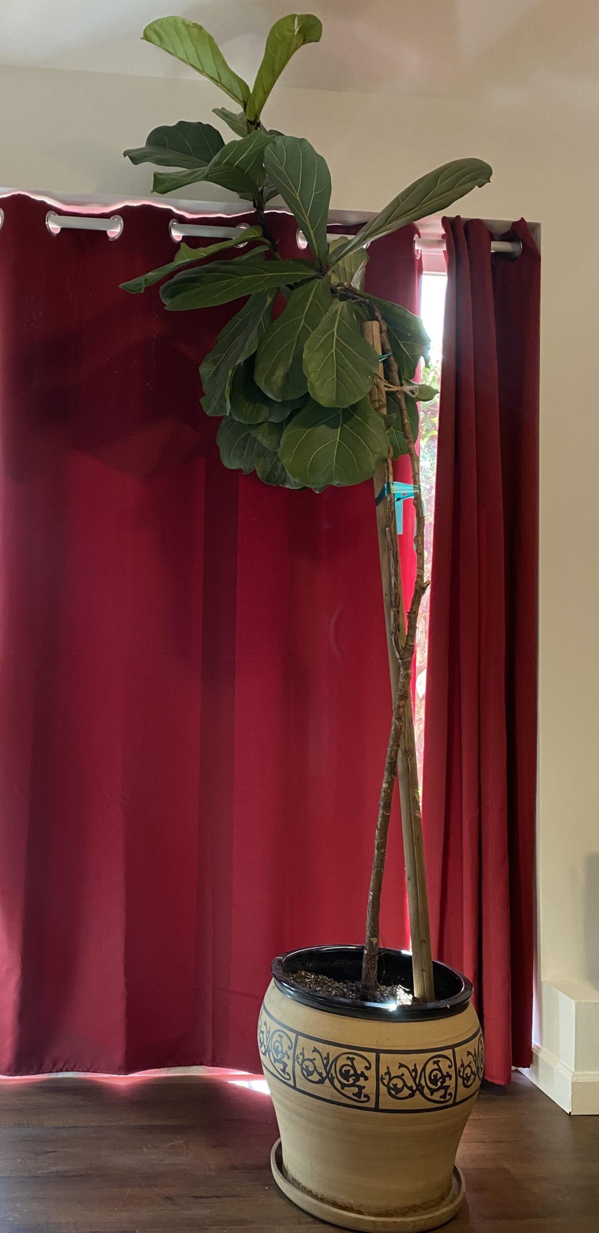 Is it time to cut?