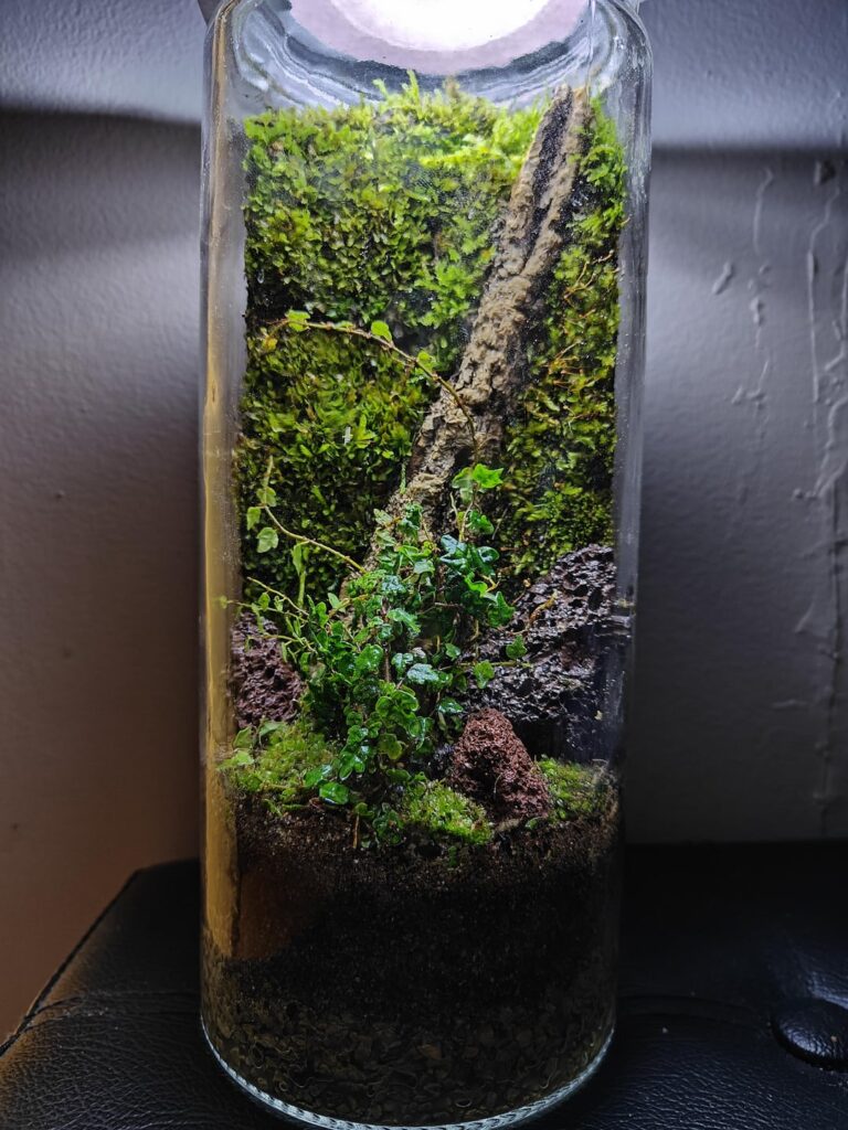 Vertical mossarium