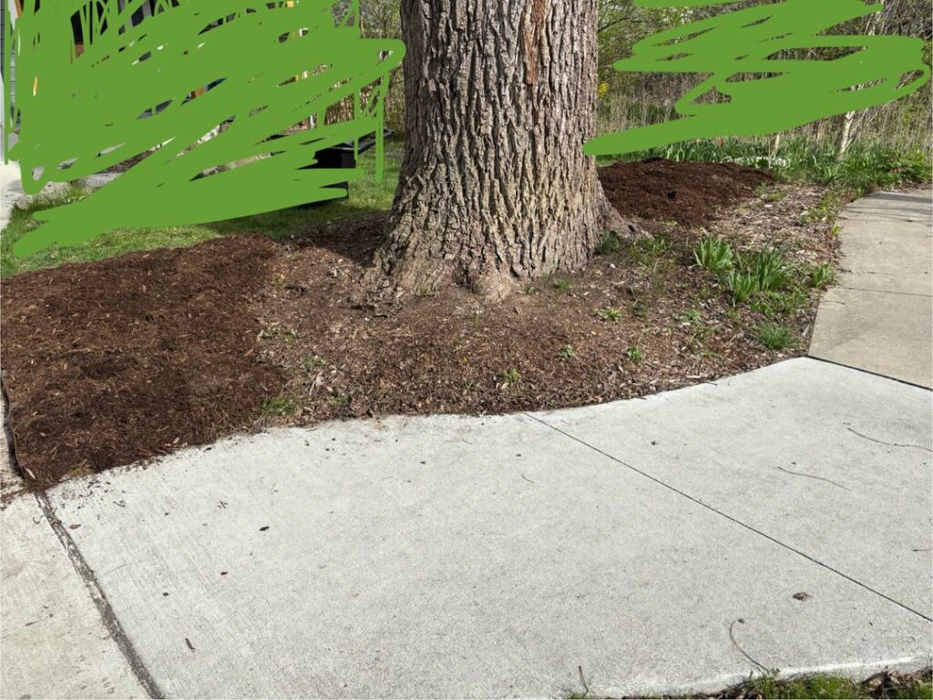 Shrinking my lawn Shrinking my lawn