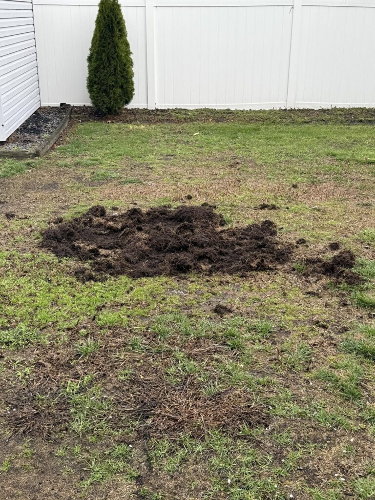 Anyone know how this could have happened?