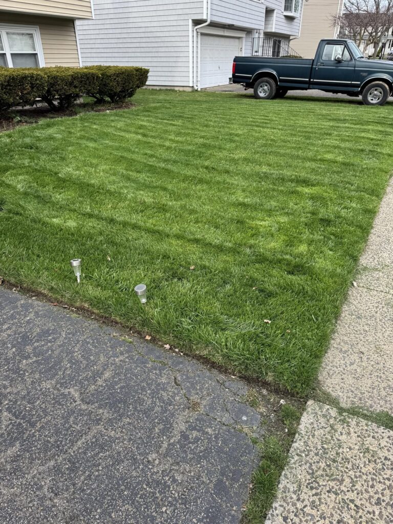 Coming in Great in Late March