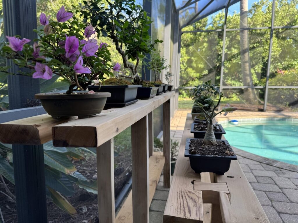 Built my own bench.