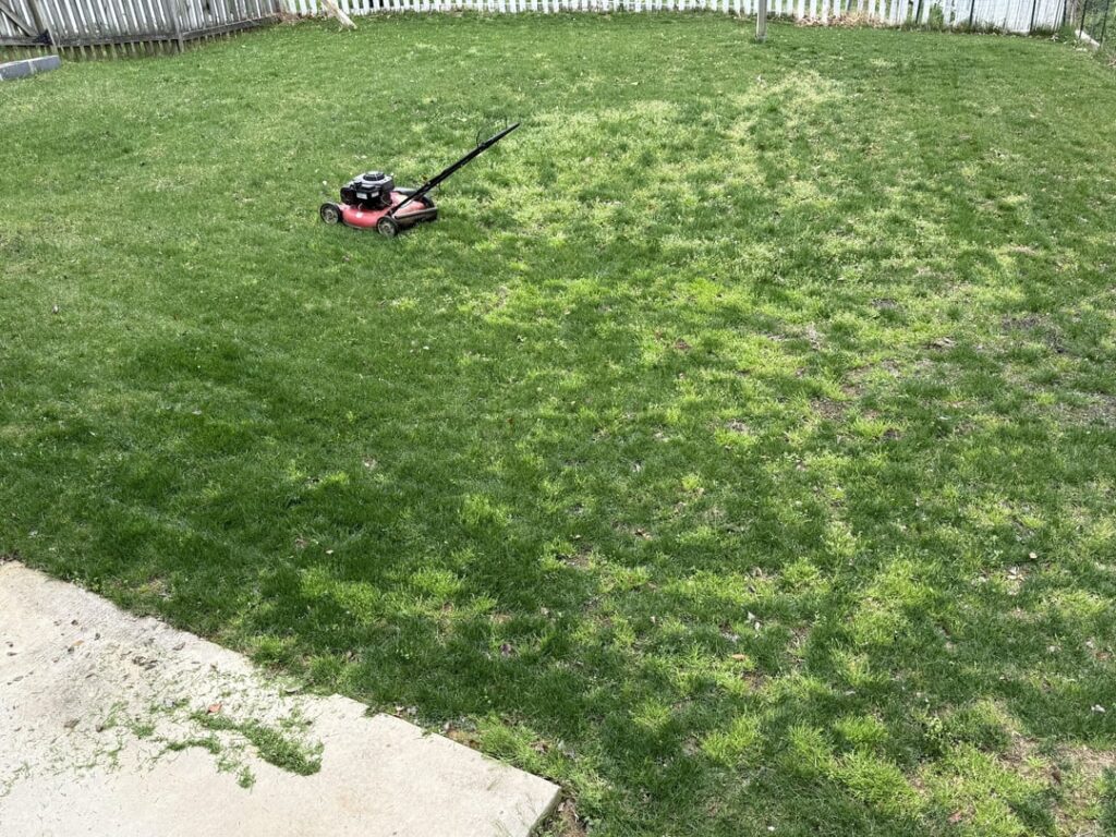 I just want a nice lawn for my kids to play on!! I just want a nice lawn for my kids to play on!!