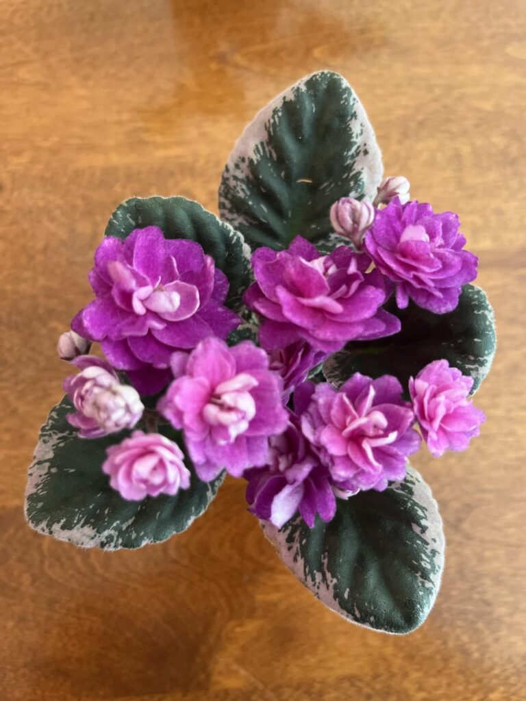 Eek! I’m already in love! Eek! I’m already in love!