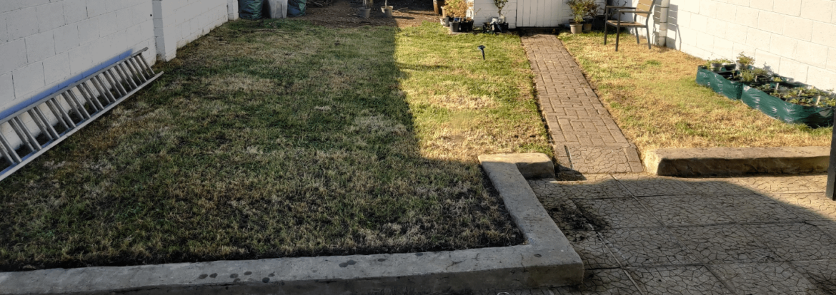 First time lawn owner advice First time lawn owner advice