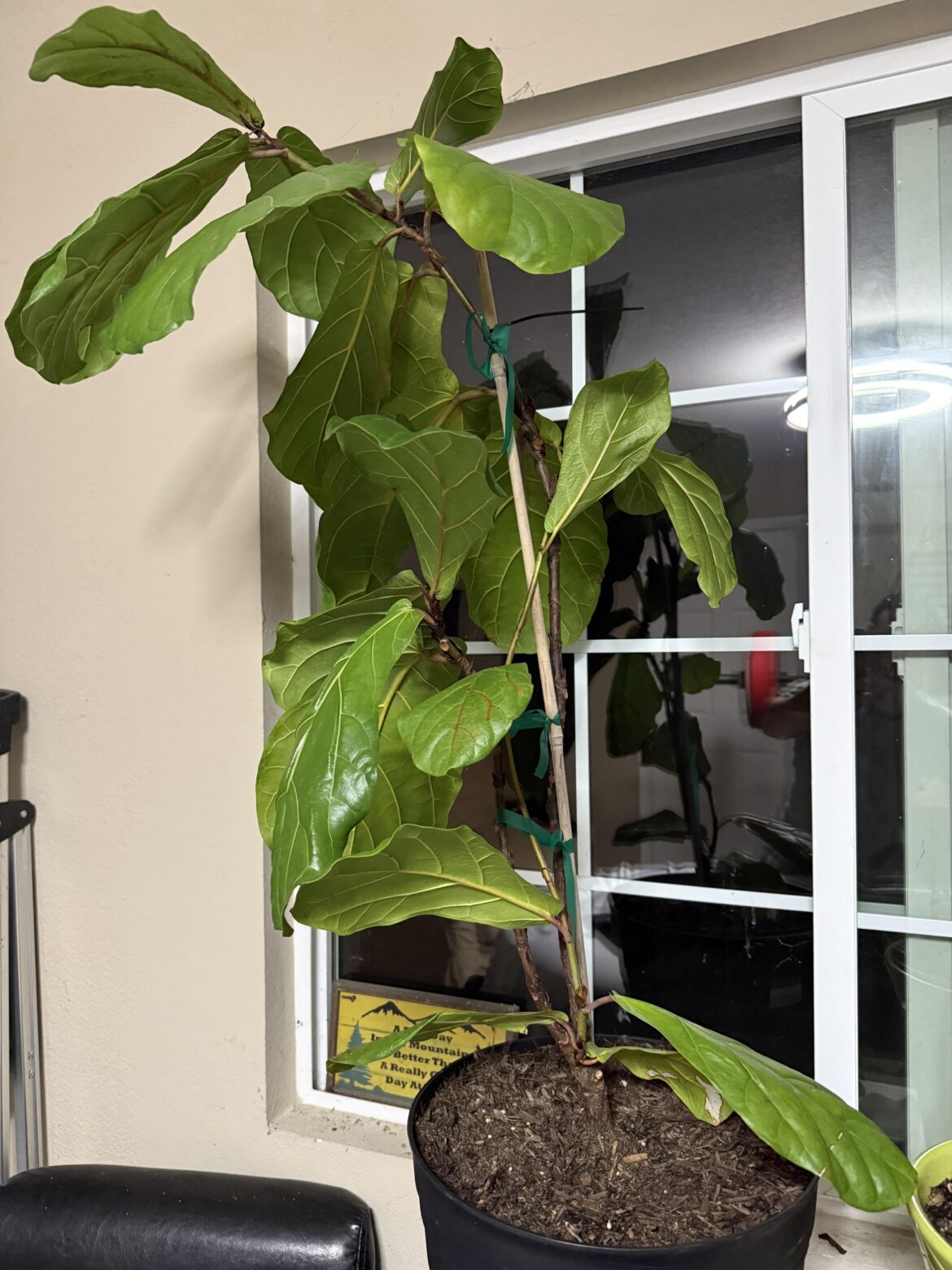 Need advice