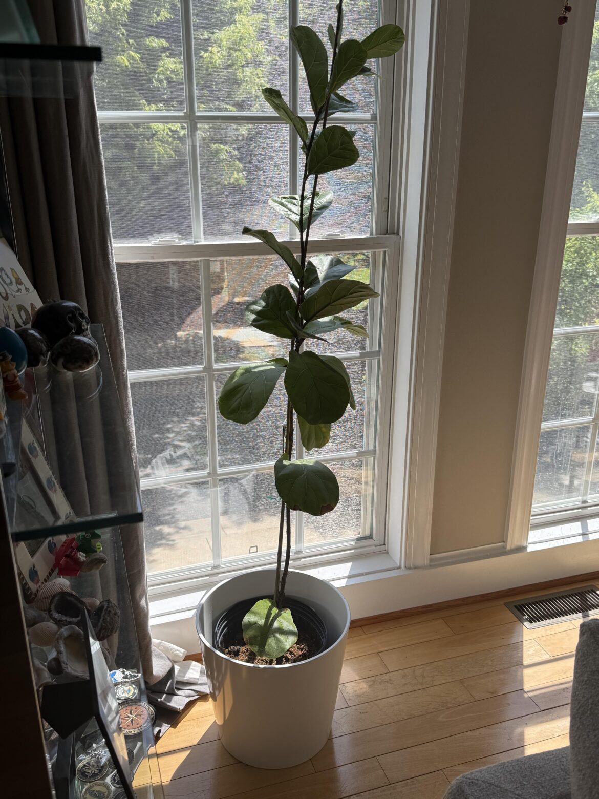 What do I do with this?