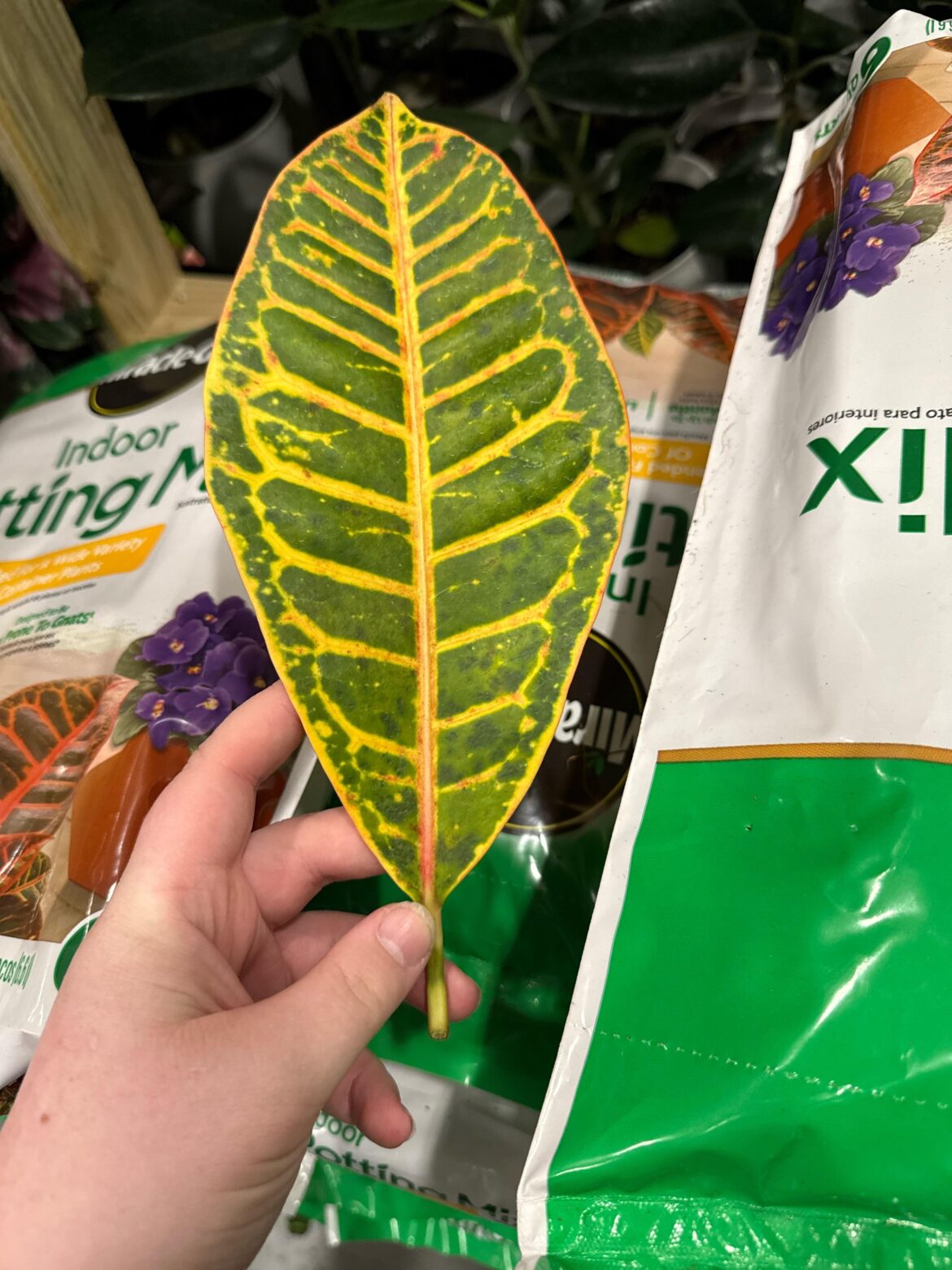 Prop-able?