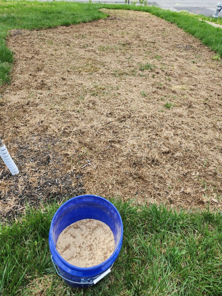 Meadow install update Meadow install update